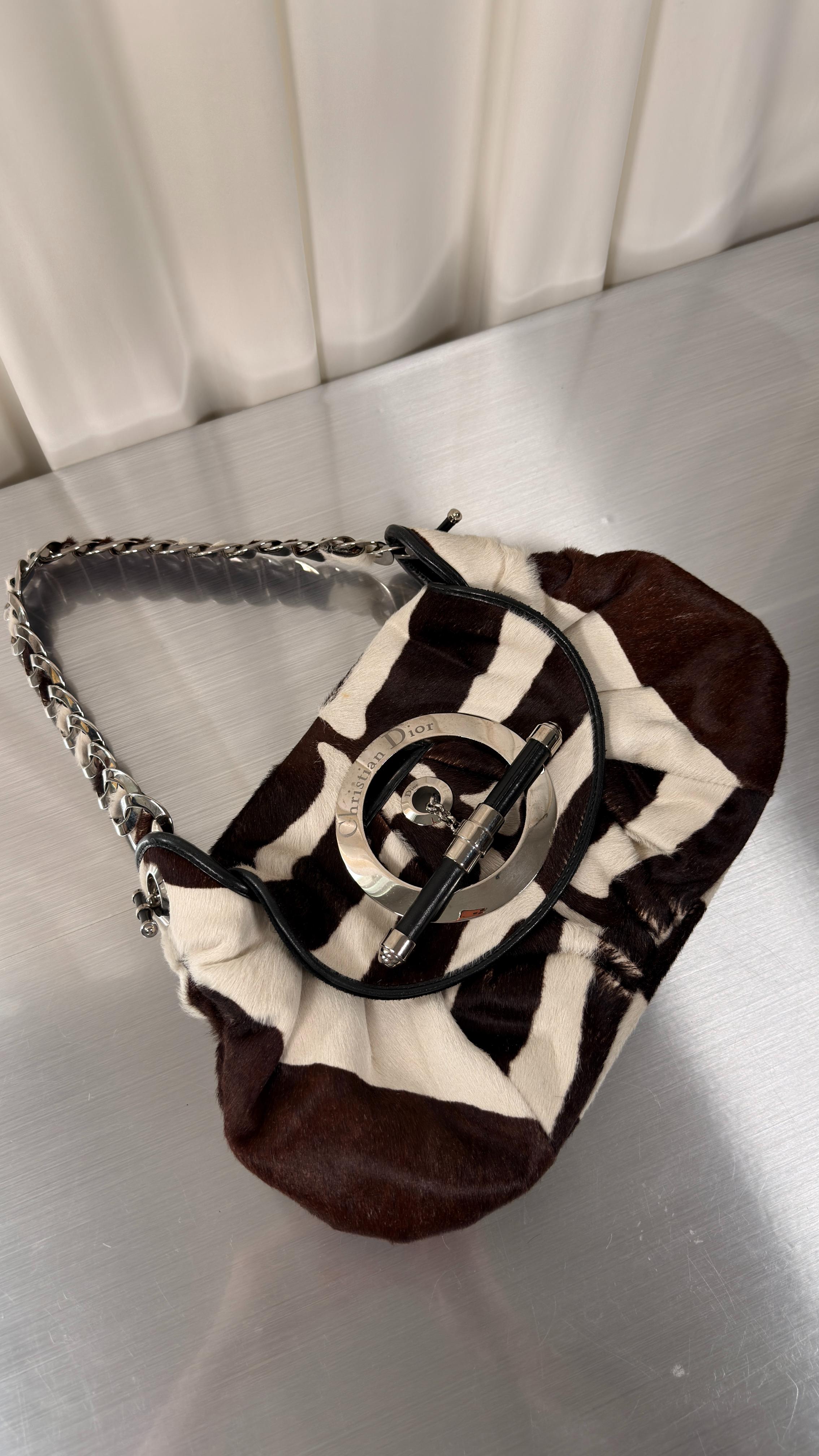 Dior Pony Hair Jazz Bag