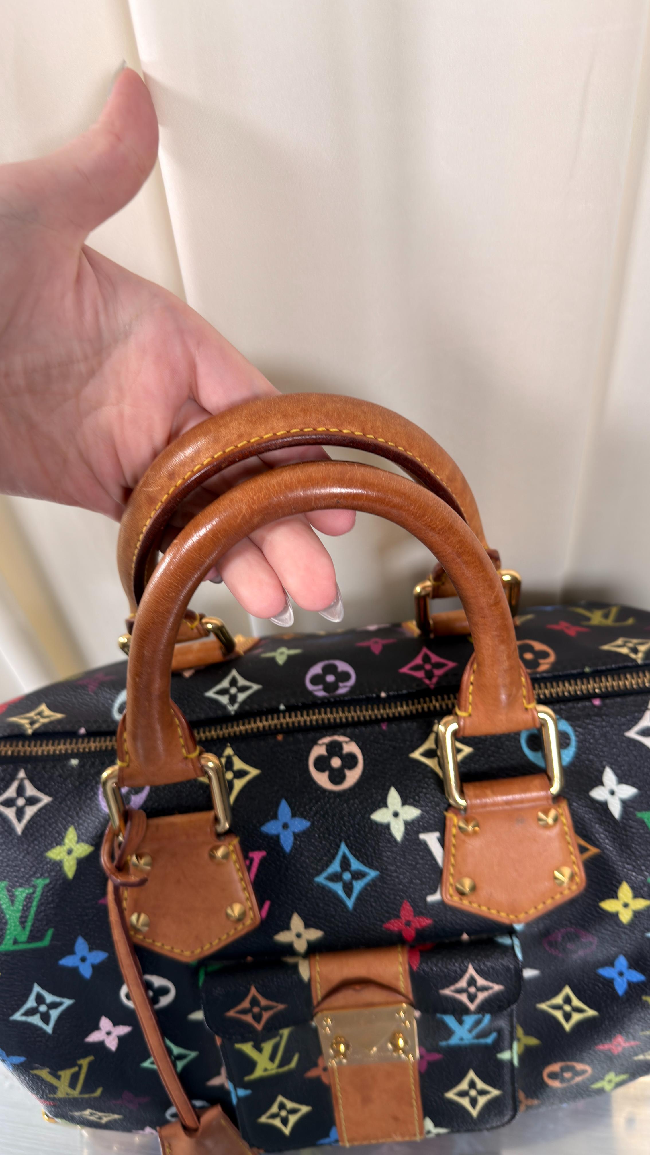Louis Vuitton Murakami Speedy 30 Bag